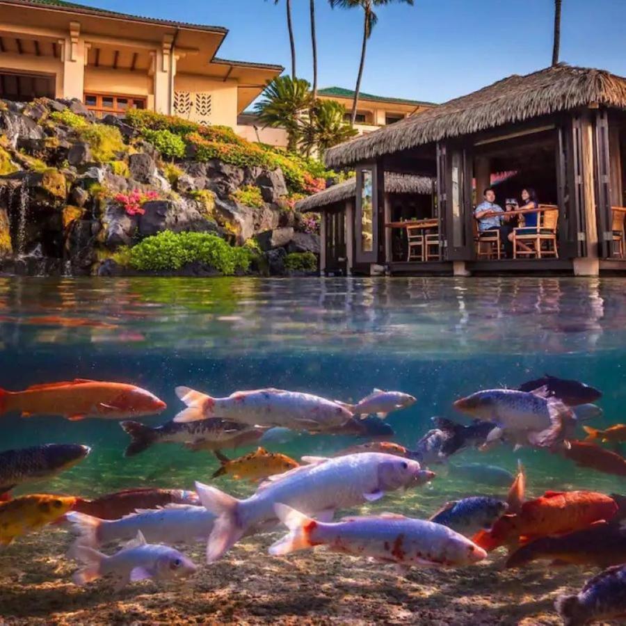 Quiet Kiahuna Plantation , New Remodel With Ac コロア エクステリア 写真